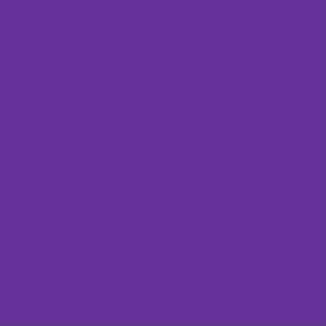 Aerial Silk - Purple
